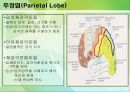 신경계case - 편측무시에 관해 8페이지