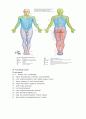 척수손상 - Spinal Cord Injury [SCI] 4페이지