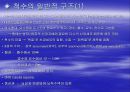 [의학] 척수[Sinal Cord]에 관해 4페이지