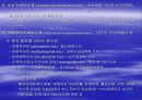 [의학] 척수[Sinal Cord]에 관해 28페이지