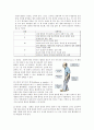 [의학] 파킨슨병[Parkinsons Disease]에 대해서 2페이지
