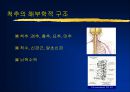 [물리치료] 척수손상과 재활치료 2페이지
