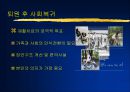 [물리치료] 척수손상과 재활치료 29페이지