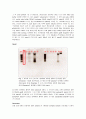 생명과학 - 타액의 상피세포와 근유조직세포, 혈액의 백혈구 등으로 부터 DNA를 추출, 정제해내는 실험 4페이지