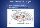 [의학]  좌우 대뇌반구의 기능차 4페이지