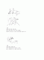 [물리치료] 진행성 근 이영양증[Progressive Muscular Dystrophy,PMD]환자에 대한 이해와 운동치료 4페이지