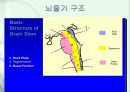 신경계case - 뇌간손상[Brain stem lesion]에 관해 7페이지