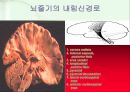 신경계case - 뇌간손상[Brain stem lesion]에 관해 8페이지