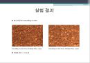 [금속재료실험] 금속 냉각법에 따른 조직사진 관찰 실험[냉간가공 및 어닐링] 8페이지