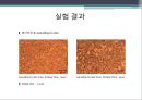 [금속재료실험] 금속 냉각법에 따른 조직사진 관찰 실험[냉간가공 및 어닐링] 10페이지