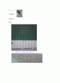[물리화학실험- 예비와 결과] Absorption spectrum of a conjugated dye 3페이지