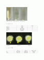 [생화학] 탄수화물의 정성실험 - Pentose test, Ketose test, Osazone test, 다당류에 의한 요오드 test, 탄수화물 미지시료 확인 7페이지
