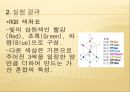 실험보고서 - 염색 결과 14페이지