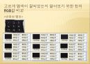 실험보고서 - 염색 결과 16페이지