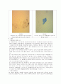 생물학실험 - 현미경의 구조와 사용법 3페이지