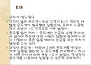 물리화학실험 - 어는점내림을 이용한 분자량 측정 22페이지