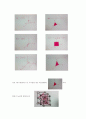 물리화학실험 - X-ray Diffraction [XRD] of NaCl[예비와 결과 리포트] 5페이지