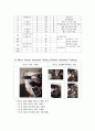 재료물성실험 - 금속 경도 시험 9페이지