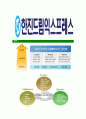 [한진드림익스프레스-한덱스최신공채합격자기소개서]한진드림익스프레스자기소개서자소서,한덱스자소서자기소개서,자소서,합격자기소개서,한덱스자기소개서자소서 5페이지