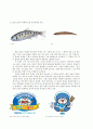 화천산천어축제분석,인제빙어축제와 비교 7페이지