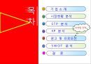미스터피자 & 도미노피자 분석 2페이지