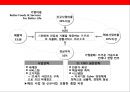 국내 기업의 브랜드 글로벌화 성공사례 분석  38페이지