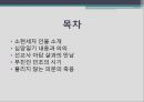 [역사학] 소현세자 심양일기에 대해 2페이지