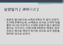 [역사학] 소현세자 심양일기에 대해 7페이지