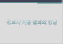 [역사학] 소현세자 심양일기에 대해 19페이지