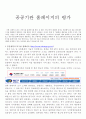 정보체계론 - 공공기관 홈페이지의 평가 1페이지