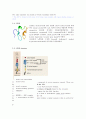 동서의학과 질병관리 - 과다콜레스테롤[Hypercholesterolemia]에 관해 4페이지
