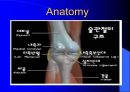 TKR(Total Knee Replacement)슬관절 대치술 PPT 5페이지