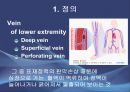 Varicose veins(하지정맥류).ppt 3페이지