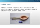 general anesthesia(전신마취).PPT 15페이지
