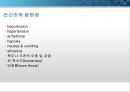 general anesthesia(전신마취).PPT 21페이지
