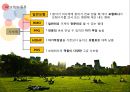 미국의 다문화정책 11페이지