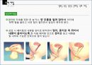 10대피임 22페이지