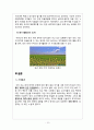 마케팅에일맥주 16페이지