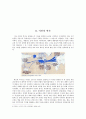 미국의 인권 개념 및 특성  2페이지