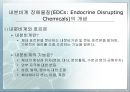 내분비계 장애물질(환경호르몬)에 대한 연구 및 대책  3페이지