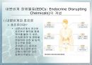 내분비계 장애물질(환경호르몬)에 대한 연구 및 대책  4페이지