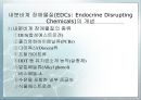 내분비계 장애물질(환경호르몬)에 대한 연구 및 대책  6페이지