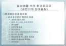 내분비계 장애물질(환경호르몬)에 대한 연구 및 대책  11페이지