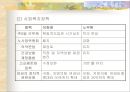 선거가 경제에 미치는 영향  12페이지