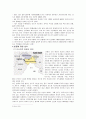 카슈미르 분쟁 (중요성, 인도파키스탄 전쟁) 7페이지