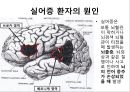 뇌와 언어 [언어장애 - 실어증] 3페이지