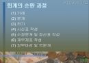 현대 사회에서 회계의 중요성과 이해 14페이지