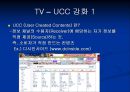 인터넷이 기존 매스미디어에 미치는 영향 17페이지