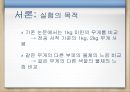 크기와 무게 착각에 관한 연구 5페이지