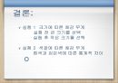 크기와 무게 착각에 관한 연구 17페이지